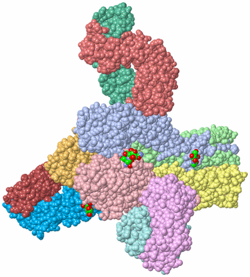 Image Biol. Unit 1 - sites