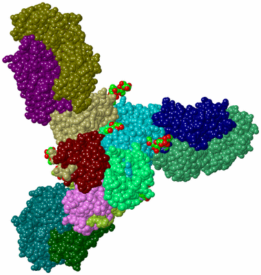 Image Biological Unit 2