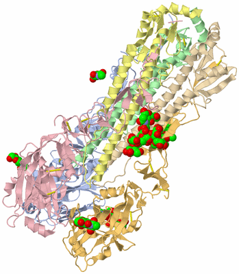 Image Biological Unit 3