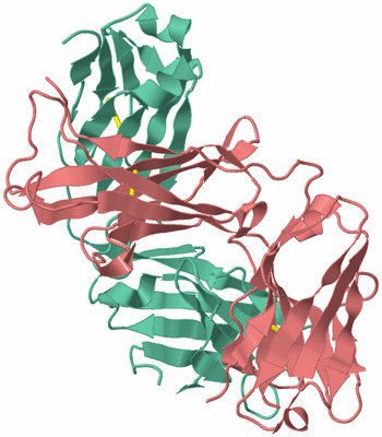 Image Biological Unit 5