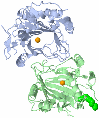 Image Biological Unit 3