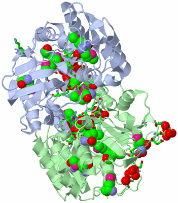 Image Asym./Biol. Unit - sites