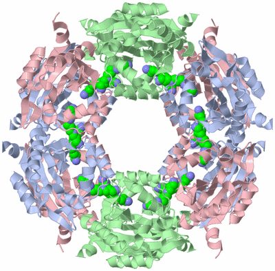 Image Biological Unit 1