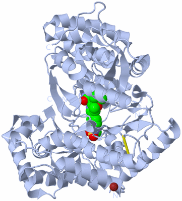 Image Biological Unit 1