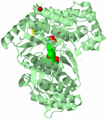 Image Biological Unit 2