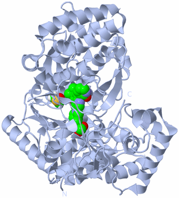 Image Biological Unit 1