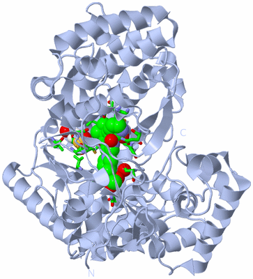 Image Biol. Unit 1 - sites