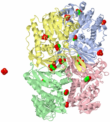 Image Asym./Biol. Unit