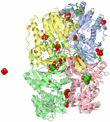 Image Asym./Biol. Unit - sites