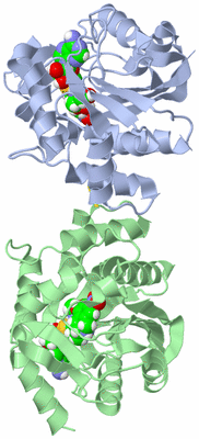 Image Asym./Biol. Unit