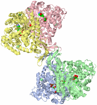 Image Asym./Biol. Unit