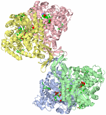 Image Asym./Biol. Unit - sites