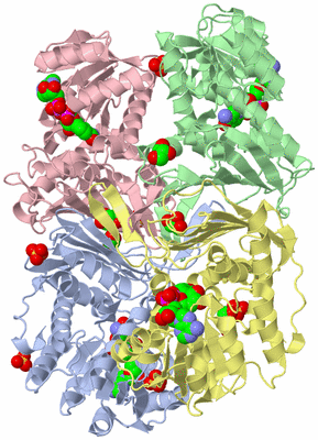 Image Asym./Biol. Unit