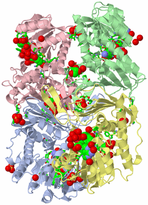 Image Asym./Biol. Unit - sites