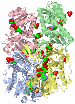 Image Asym./Biol. Unit