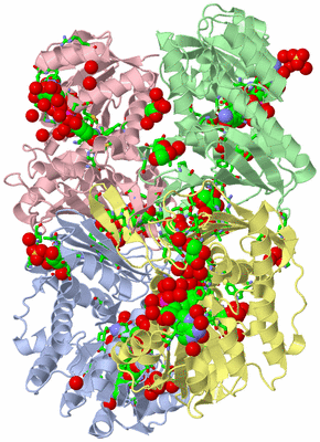 Image Asym./Biol. Unit - sites