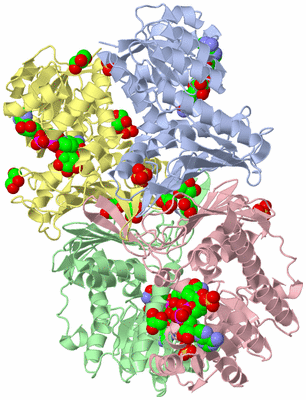 Image Asym./Biol. Unit