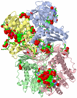 Image Asym./Biol. Unit - sites