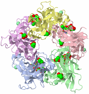 Image Asym./Biol. Unit