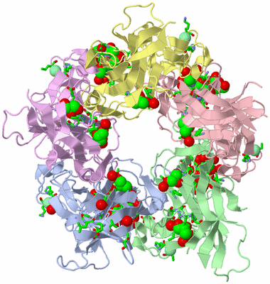 Image Asym./Biol. Unit - sites