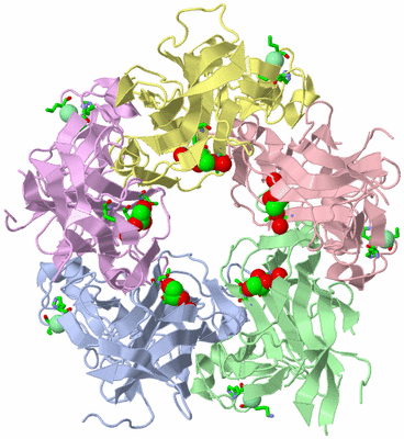 Image Asym./Biol. Unit - sites