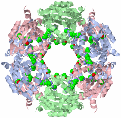 Image Biological Unit 1