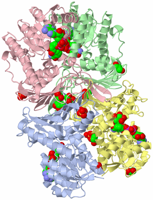 Image Asym./Biol. Unit