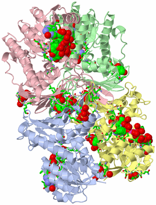 Image Asym./Biol. Unit - sites