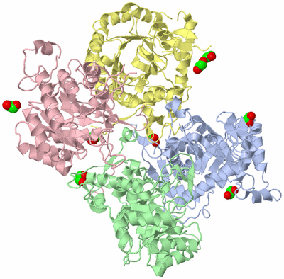 Image Asym./Biol. Unit