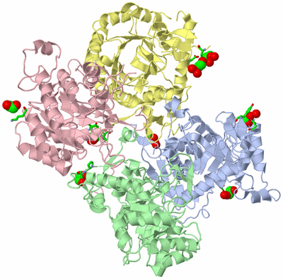 Image Asym./Biol. Unit - sites