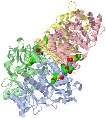 Image Biological Unit 1