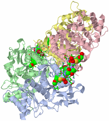 Image Biol. Unit 1 - sites