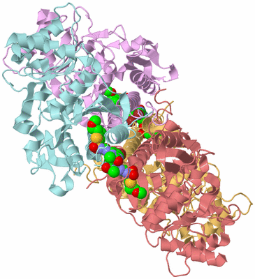 Image Biological Unit 2