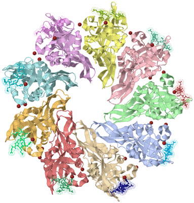 Image Asym./Biol. Unit