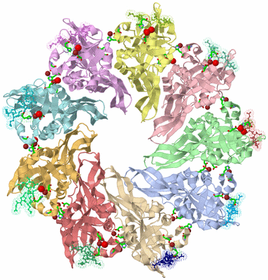 Image Asym./Biol. Unit - sites