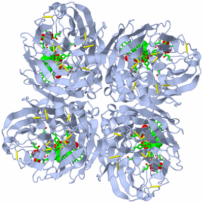 Image Biol. Unit 1 - sites