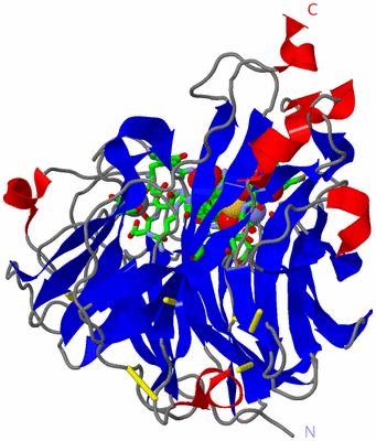 Image Asym. Unit - sites