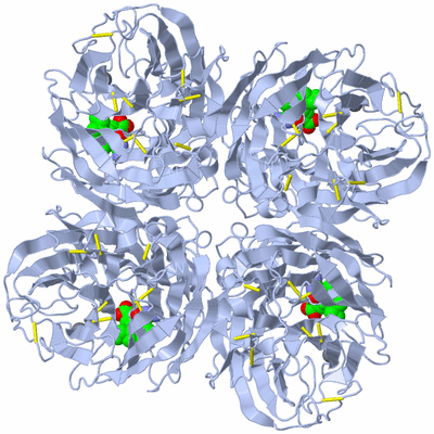 Image Biological Unit 1