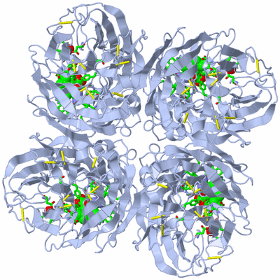 Image Biol. Unit 1 - sites