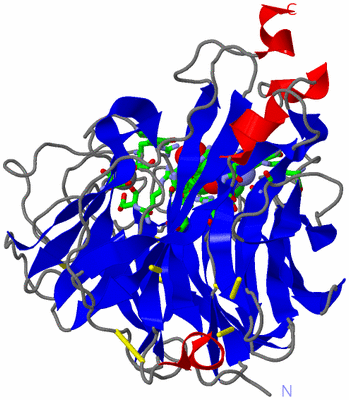 Image Asym. Unit - sites