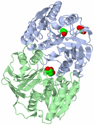 Image Asym./Biol. Unit