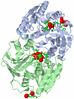 Image Asym./Biol. Unit - sites