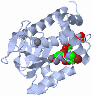 Image Biological Unit 1