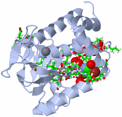 Image Biol. Unit 1 - sites