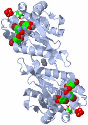 Image Biological Unit 2