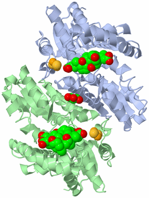 Image Asym./Biol. Unit