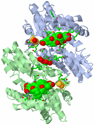 Image Asym./Biol. Unit - sites