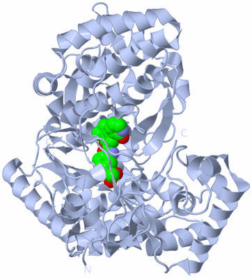 Image Biological Unit 1