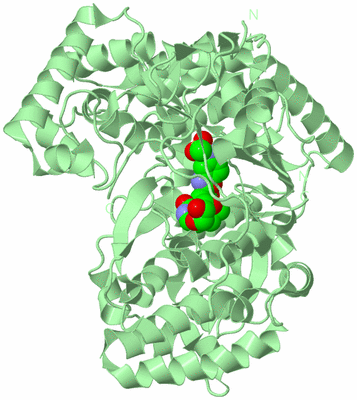 Image Biological Unit 2