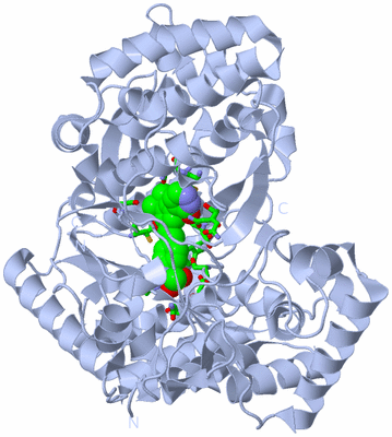 Image Biol. Unit 1 - sites